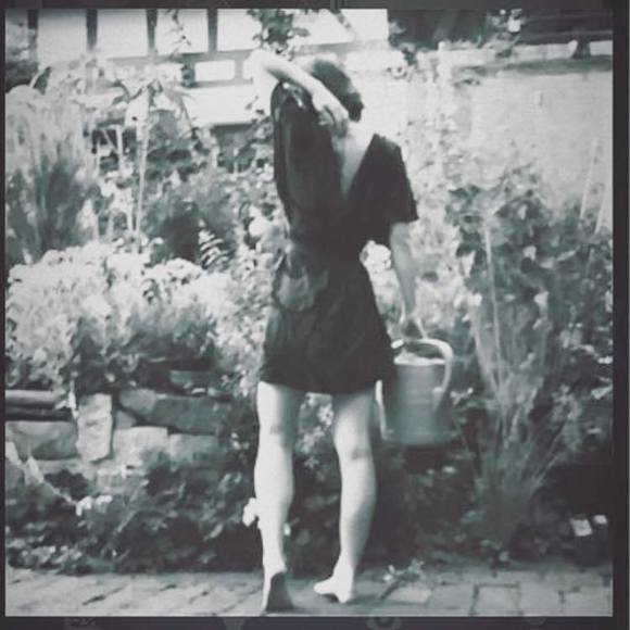 Meet your Posher, Daphne - Picture 1 of 1